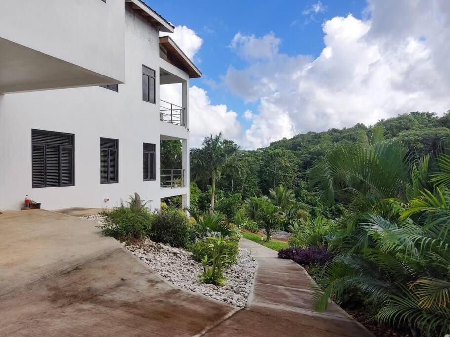 The Willow Apartment أوشو ريوس المظهر الخارجي الصورة