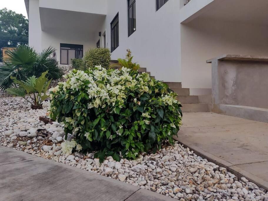 The Willow Apartment أوشو ريوس المظهر الخارجي الصورة